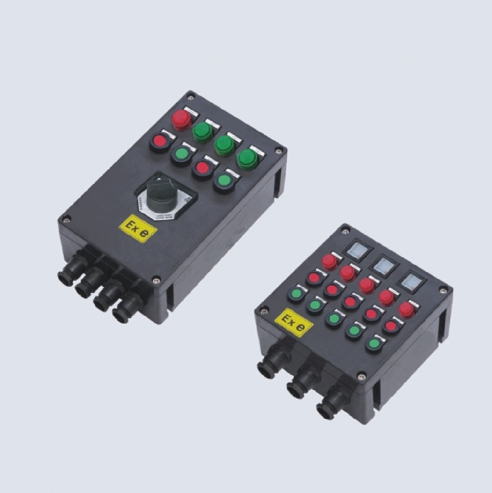 BXK8050-系列防爆防腐控制箱(IIC、 ExtD)