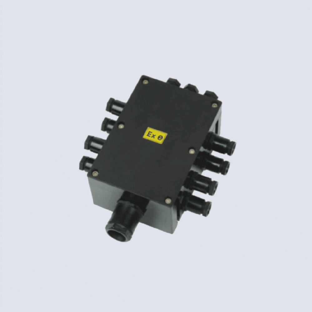 BJX8050系列防爆防腐接線箱(II C、 ExtD)